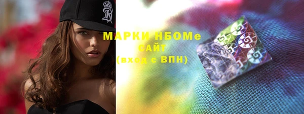 шишки Богородицк