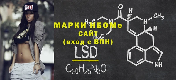 шишки Богородицк