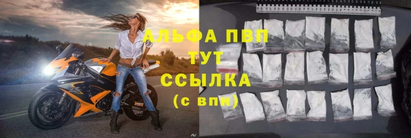 прущий лед Богданович