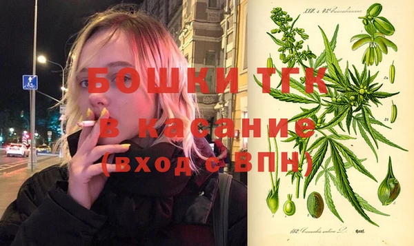 прущий лед Богданович