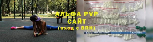 шишки Богородицк