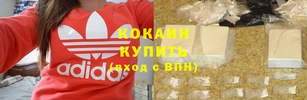 шишки Богородицк