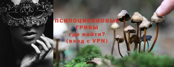 apvp Богородск