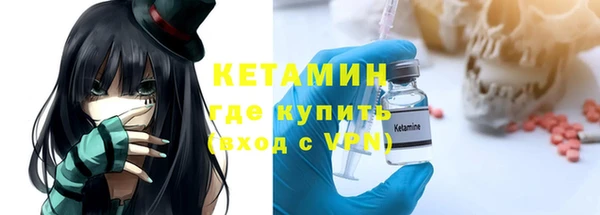шишки Богородицк