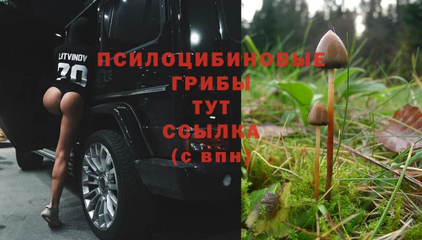 шишки Богородицк