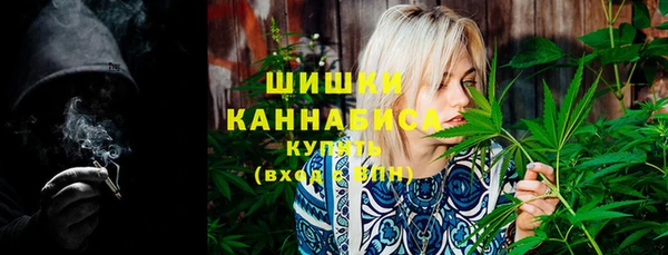 шишки Богородицк