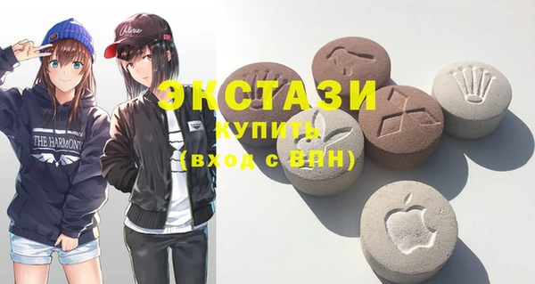 шишки Богородицк
