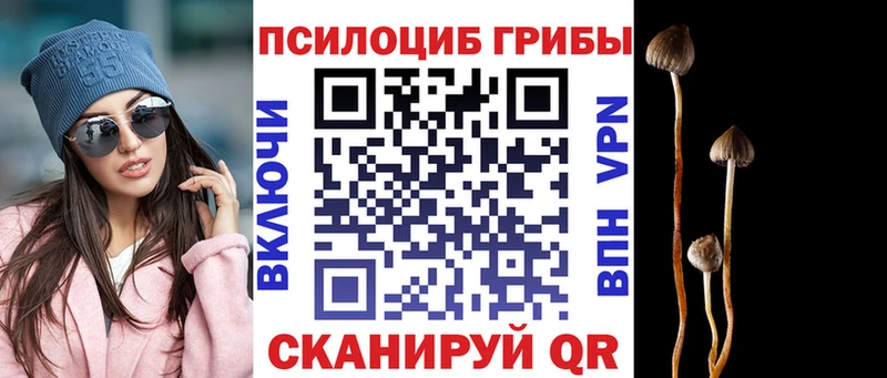 гидра зеркало  Тюмень  Галлюциногенные грибы мухоморы 